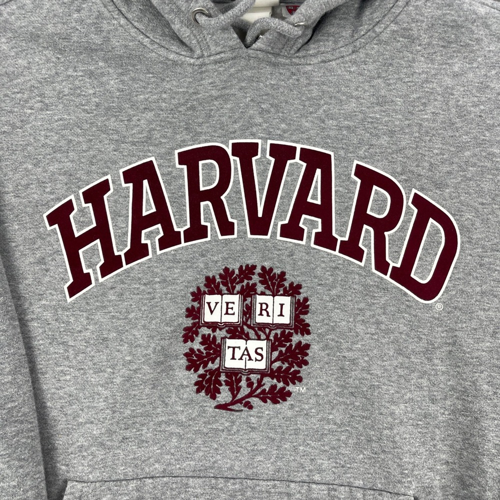 Harvard University H&M Mens Medium Gray Pullover Hoodie Graphic Sweatshirt - Picture 3 of 8